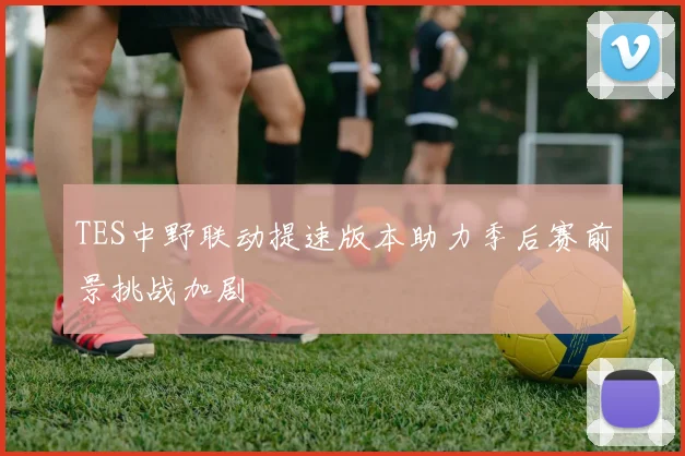 TES中野联动提速版本助力季后赛前景挑战加剧