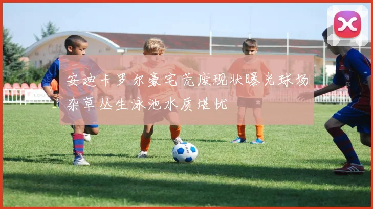 安迪卡罗尔豪宅荒废现状曝光球场杂草丛生泳池水质堪忧